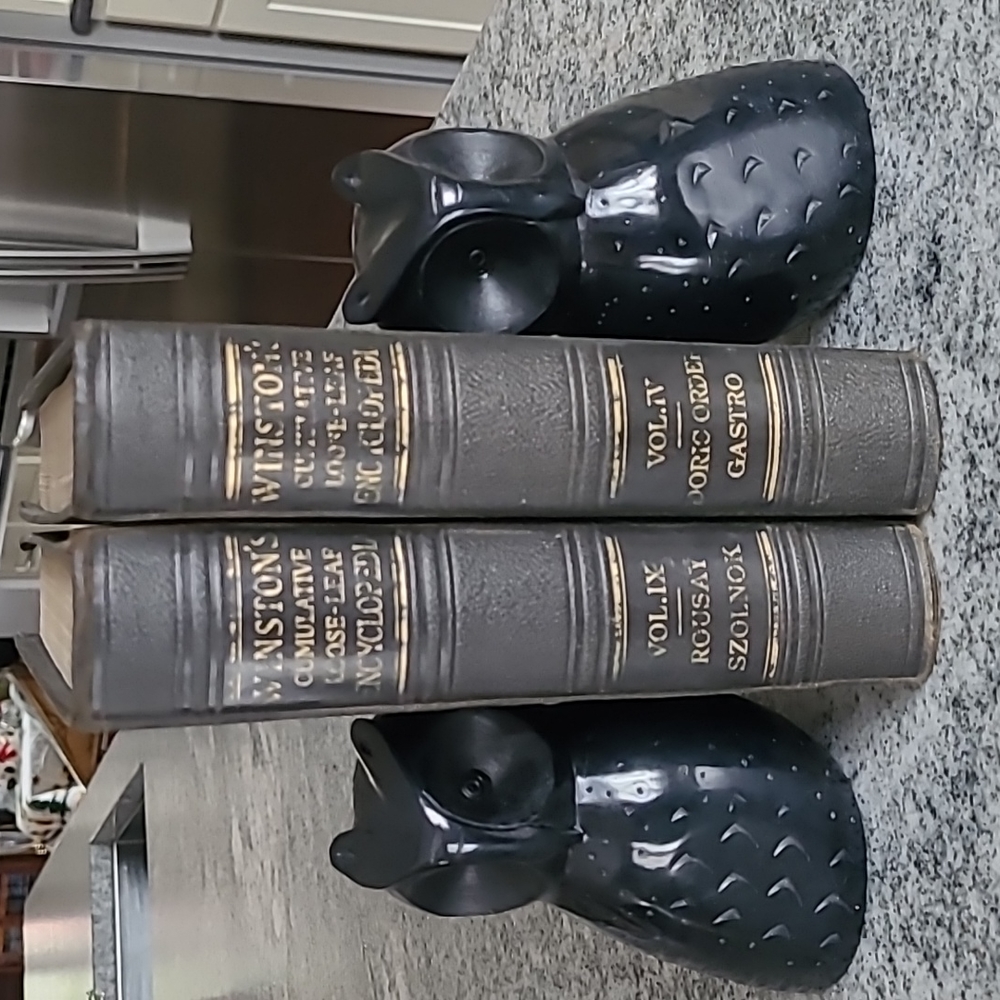 Vintage Hand Carved Black Stone Onyx Owl Shaped Office Library Bookends - Picture 1 of 12